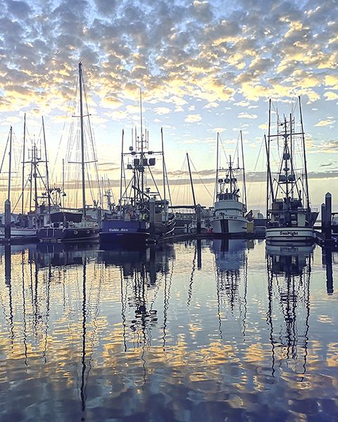 Boats docked in a marina at sunset in Eureka, California. 