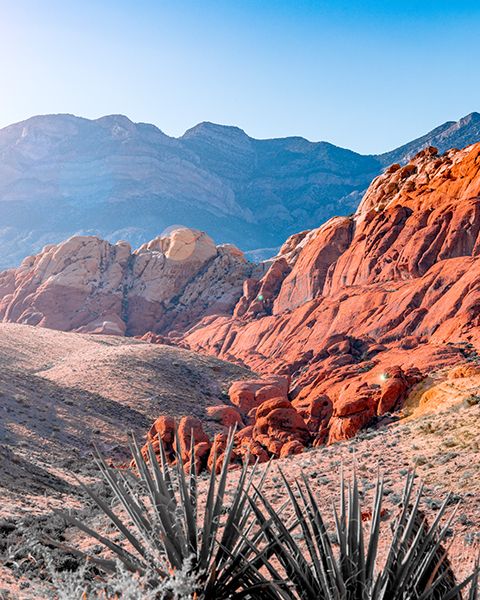 Representing Nevada is a view of a desert park.