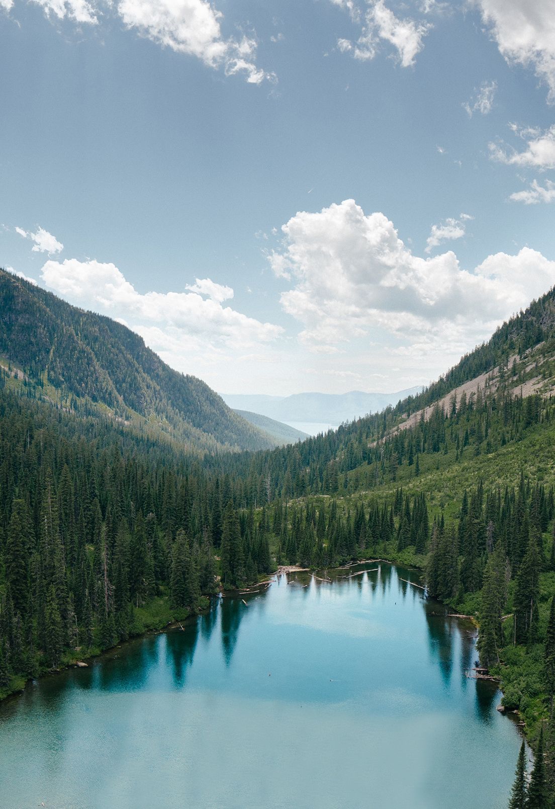 Representing Montana is view of a river surrounded by green trees.