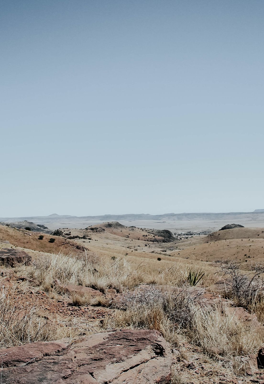 Representing Texas is a view of a desert park.