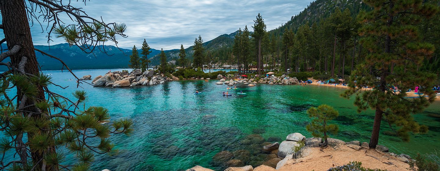 River and pine trees in Reno, Nevada.