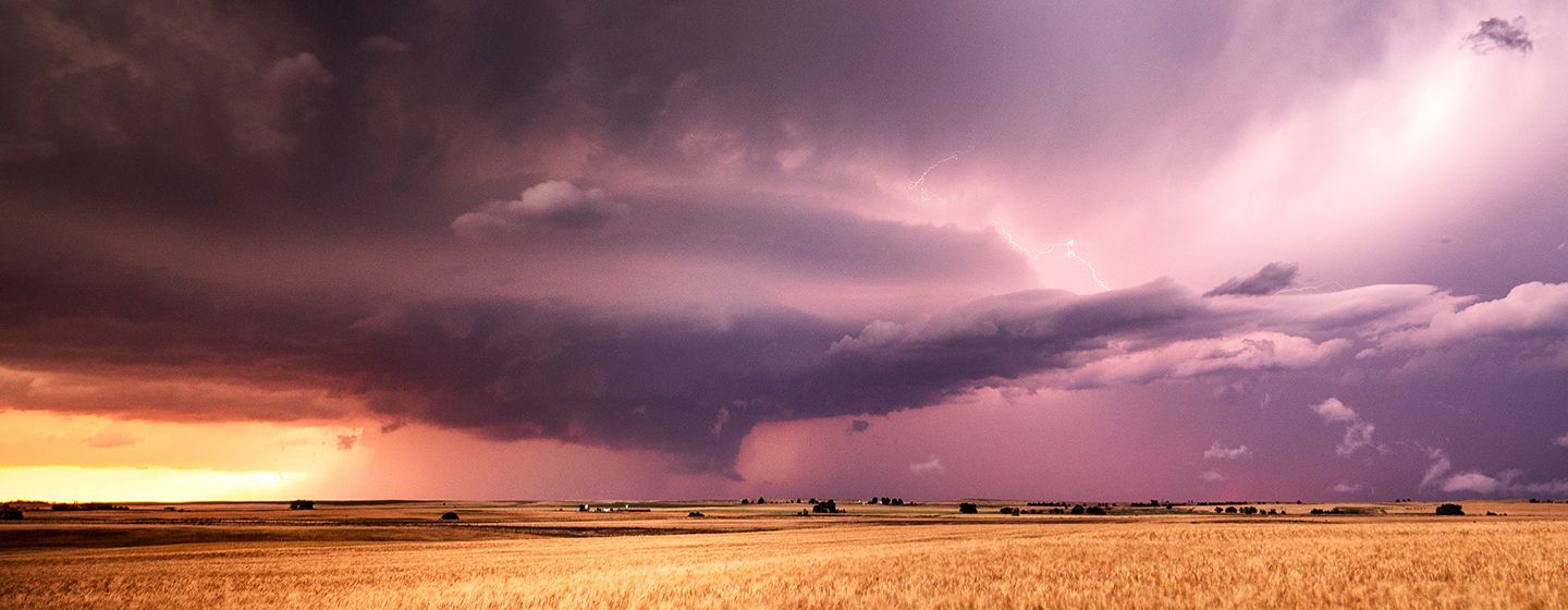 Natural yellow dry grass fields with purple clouds scattered throughout the sky in Oklahoma.